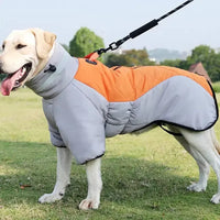 Dog Coat - Waterproof - Axiwear